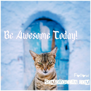 at life today & everyday! #motivationalmonday #quote #awesome #cute ...
