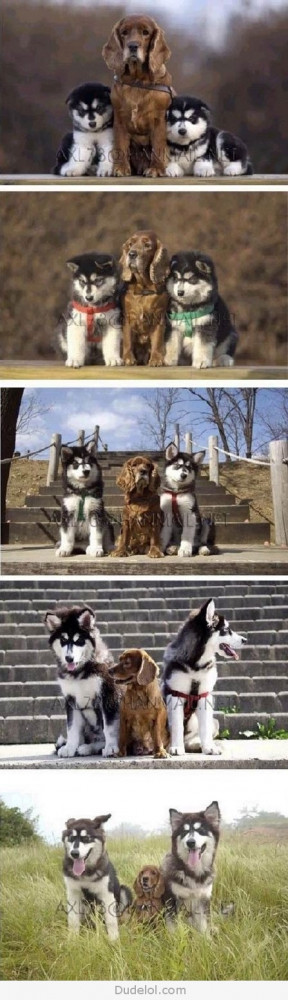 Susan Jean Berg Allison says: