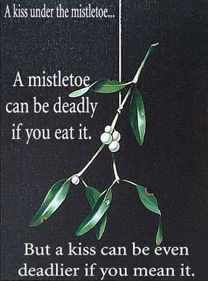 Mistletoe can be deadly #catwoman #batman