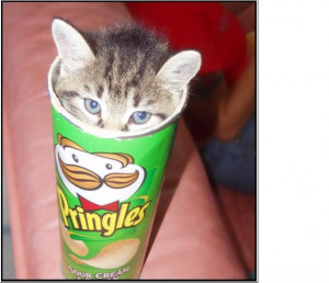 Our most humble receptacle: Pringles pioneer buried in his can