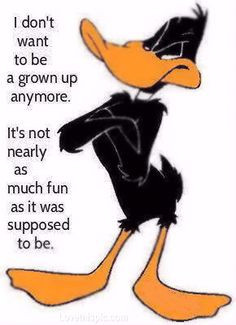 Favorite Cartoon, Kids Wall, Looney Tunes, Quote, Looneytunes, Daffy ...