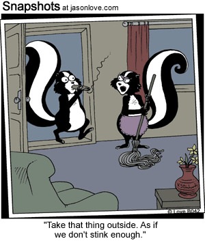 wondered skunks life