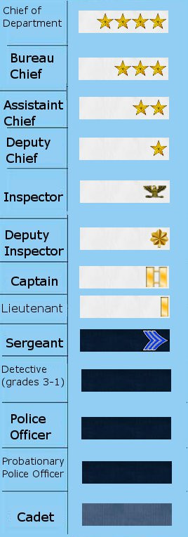 nypd rank structure