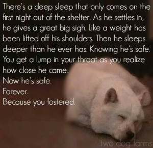 Please foster it does save lives