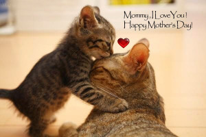 Top Mother's Day Inspirational Quotes, Sayings, Images, Messages ...