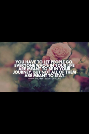 Loyalty quotes and sayings loyal dog face meaningful