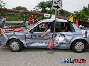 Student_Driver_funny_picture