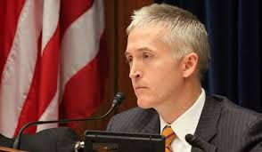 Rep. Trey Gowdy Schools Liberal Professor Charles Tiefer in IRS ...