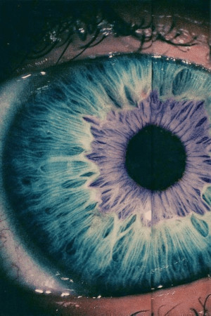 purple eyes | via Tumblr