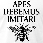 Latin Saying Sayings Quote Quotes T-Shirts