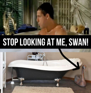 Stop looking at me, swan!