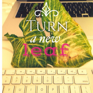 Turn a new leaf in life.