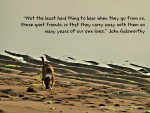 Quotes Loss Of Dog ~ My Favourite Loss of a Pet Quotes