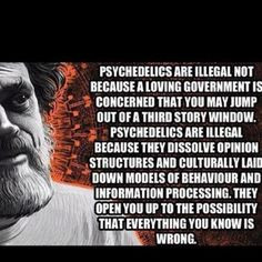 Terence Mckenna about Psychadelics More