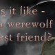 werewolf-best-friend