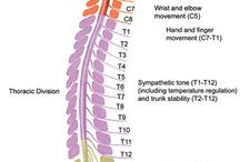 learning / by Magnus Ver Magnusson