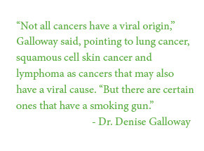 Not all cancers have a viral origin