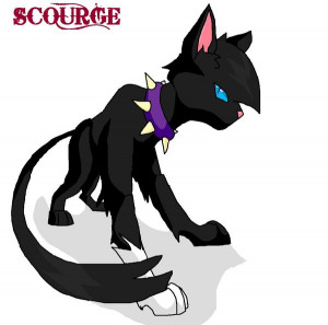 Scourge - warrior cats fansite