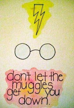 don't let the muggles get you down