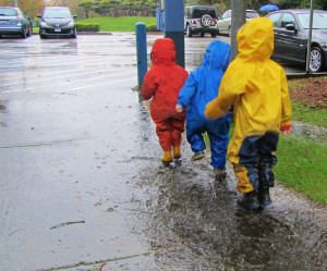mud puddle central park puddle wallpapers and backgrounds puddle ...