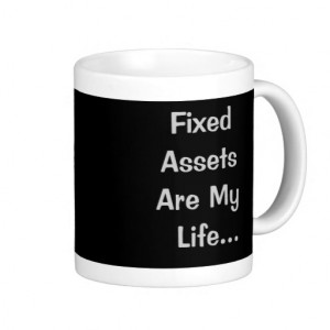 Fixed Assets Are My Life Funny Accounting Quote Coffee Mug