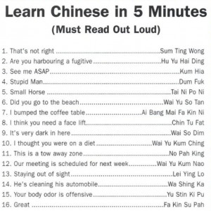... .us/wp-content/uploads/2008/09/learn_chinese_in_5_minutes.png