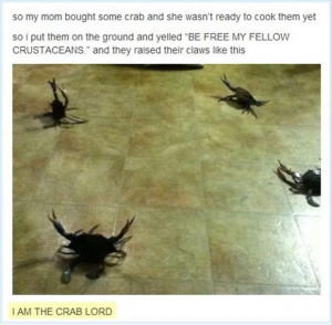 Funny Quotes About Crabs