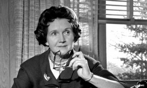 Rachel Carson, author of Silent Spring, at the typewriter in her ...