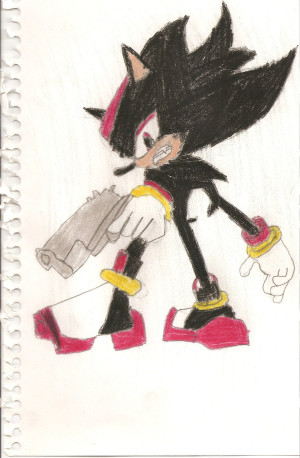 Shadow The Hedgehog Neutral