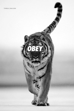 obey gif
