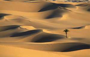 have always loved the desert. One sits down on a desert sand dune ...