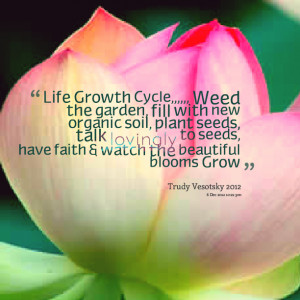Life Growth Cycle,,,,, Weed the garden, fill with new organic soil ...