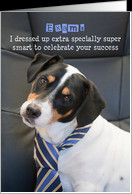 Exams Congratulations Card - Humorous, Dog Wearing Smart Tie card ...