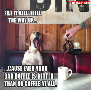 funny pictures, dog drinking coffee