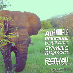 All animals are equal, but some animals are more equal than others.
