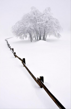 untouched snow, beautiful winter scene |