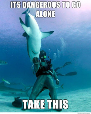 It’s dangerous to go alone take this shark