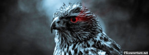 Yeux d'Aigle Animaux Couverture Facebook -