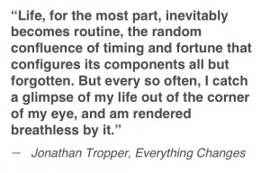 Jonathan Tropper - Everything changes