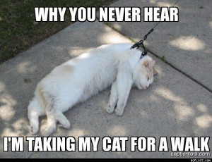 Taking My Cat For A Walk