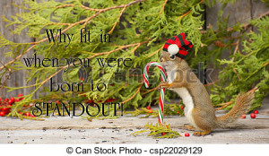 Stock Photo - Inspirational quote on individuality by Dr. Suess with a ...