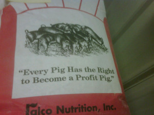 Displaying 19> Images For - Thot Quotes...