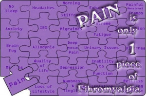 Fibromyalgia/ pain - Love this summation!