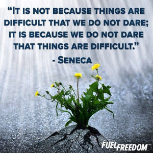 ... try. quote inspiring FuelFreedom #fuel #seneca #ancient #rome #latin