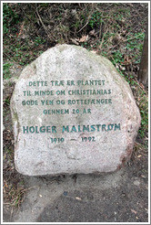 Rock inscribed with 