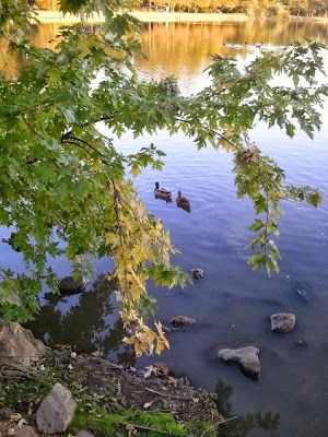 ... , communion or company than a good marriage.” -Martin Luther