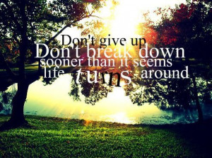 quote beautiful day flowers gorgeous