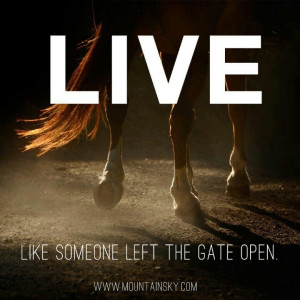 LIVE like someone left the gate open