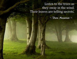 Listen to the trees as they sway in the wind. Their leaves are telling ...
