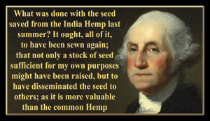 George Washington Indian Hemp Seeds